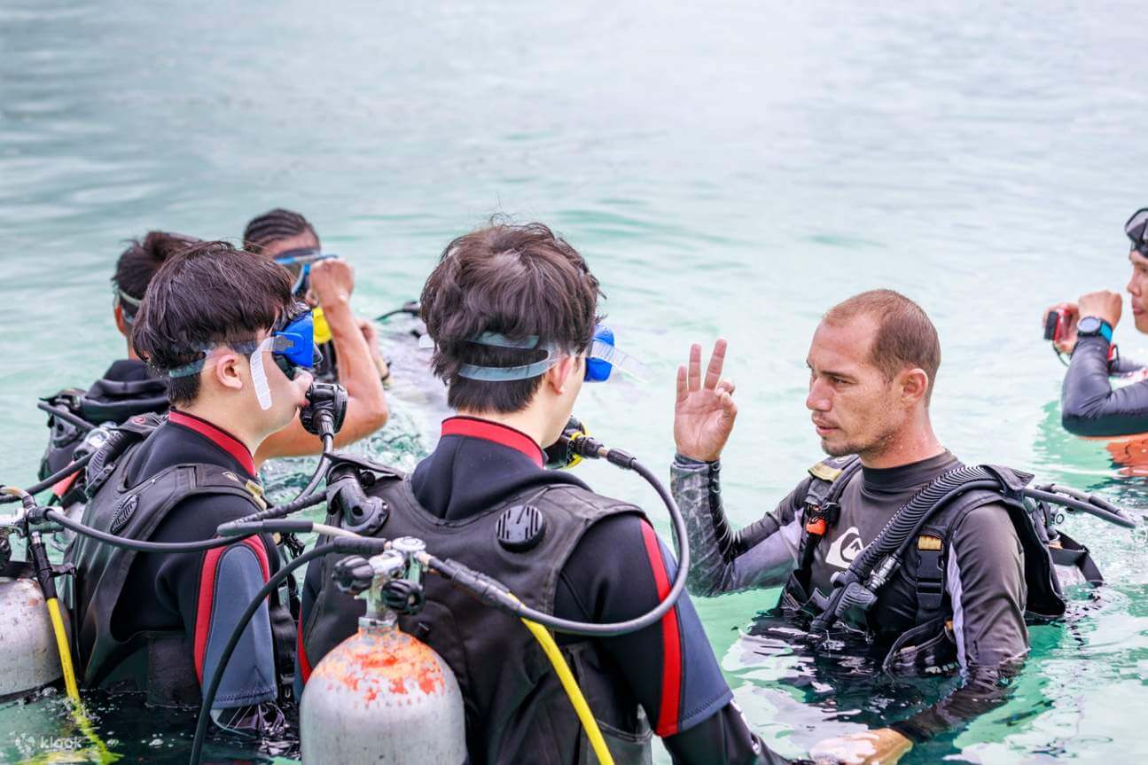 Diving Briefing and FAQs