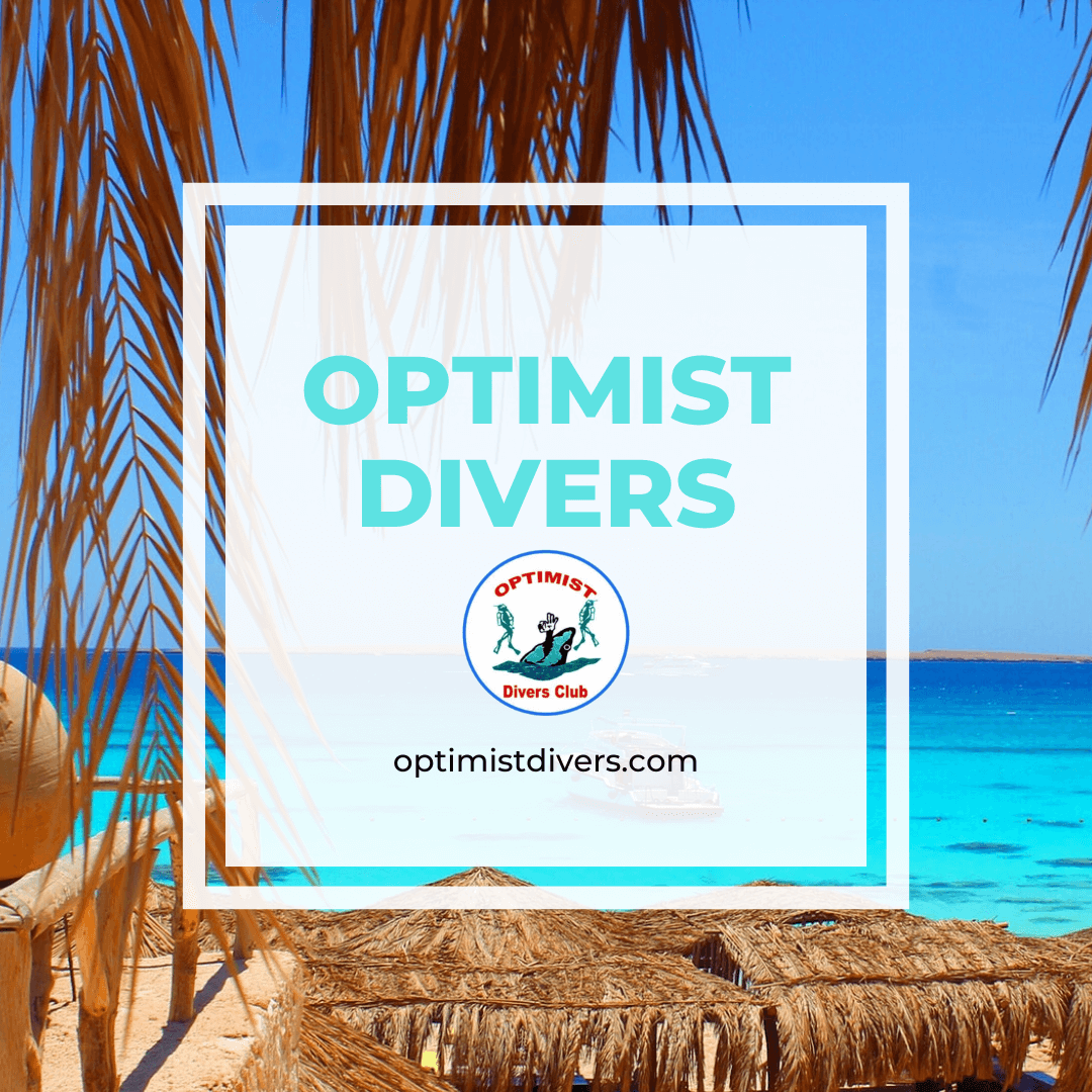 Optimist Diver