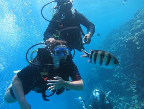 Intro diving in hurghada