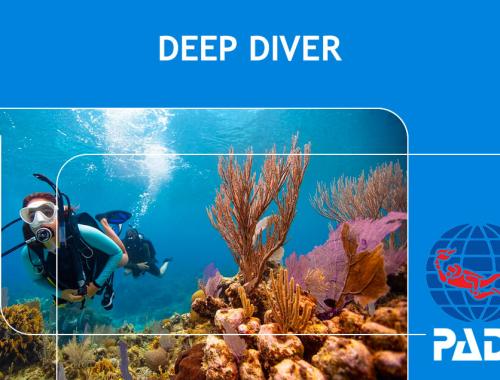 Deep Diver Specialty